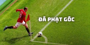 Thumb đá phát gọc i9BET