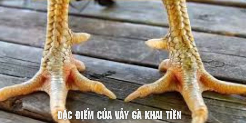 Khám phá đặc điểm vảy gà khai tiền cùng i9BET